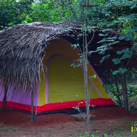 Sigiri Jungle Camping Hotel สิกิริยา ภายนอก รูปภาพ