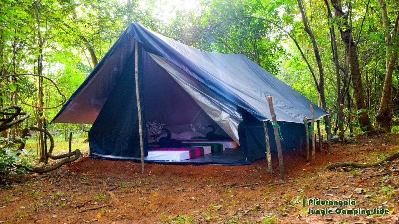 Sigiri Jungle Camping Hotel สิกิริยา ภายนอก รูปภาพ